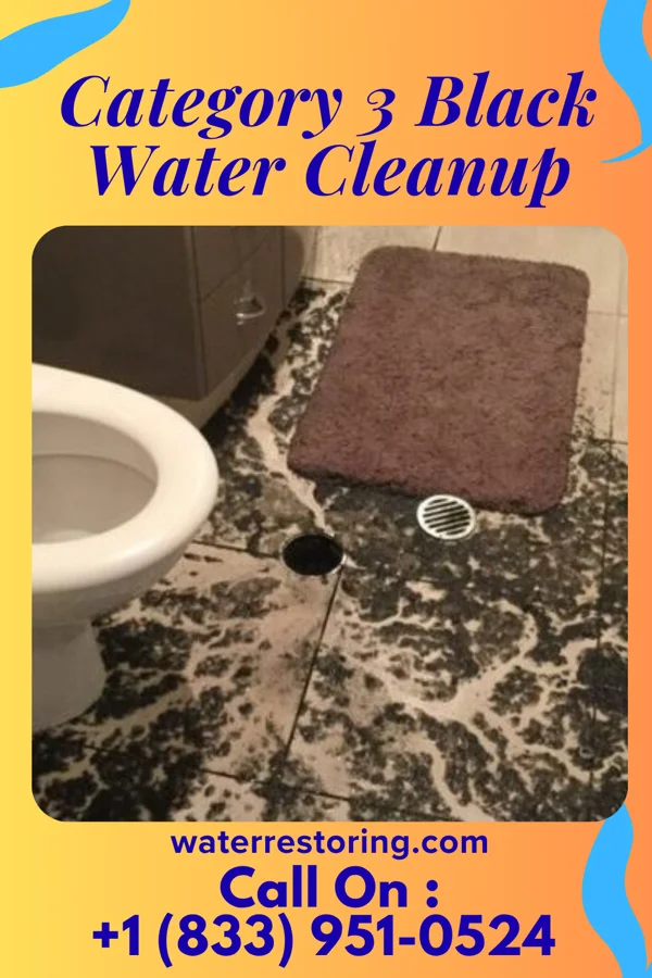 Category 3 Black Water Cleanup in Bethlehem, PA
