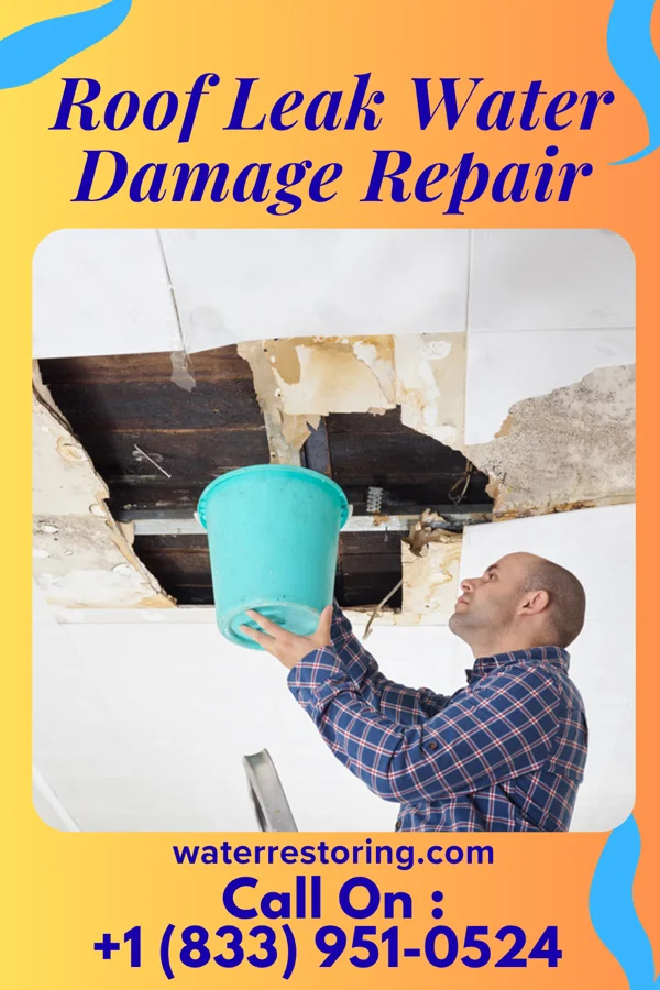 Roof Leak Water Damage Repair in Bethlehem, PA