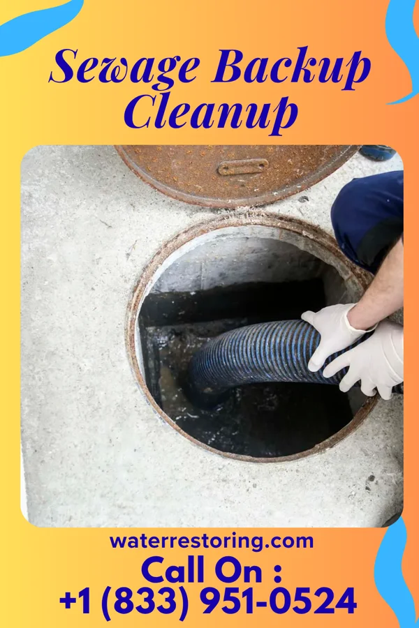 Sewage Backup Cleanup in Bethlehem, PA